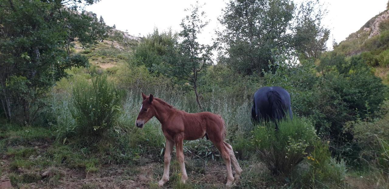 Casa Rural Carmen Luna Mallo de Luna Bagian luar foto